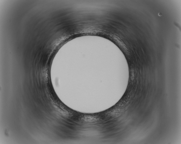 X0000096660632200802191307