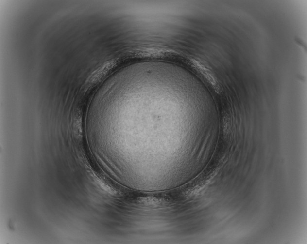 X0000096660633200802191307