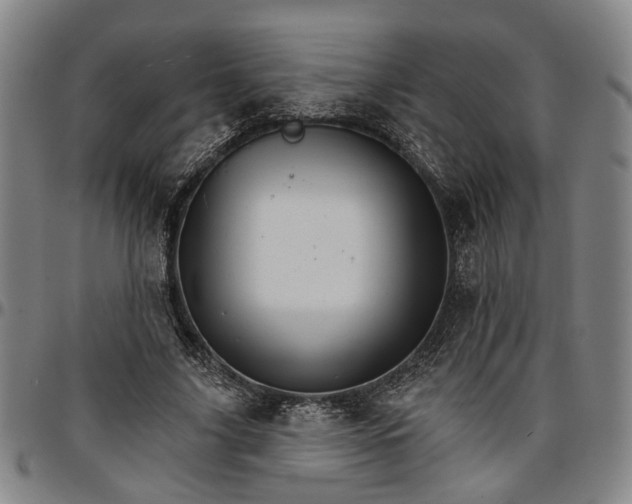 X0000096660635200802191307