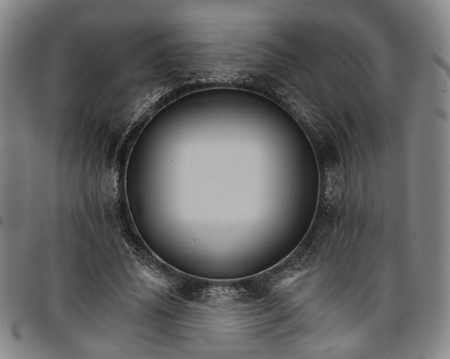 X0000096660636200802191307