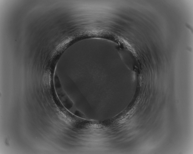 X0000096660637200802191307