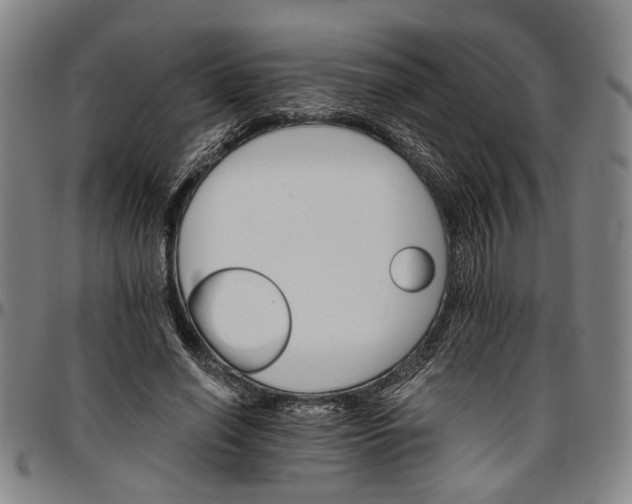 X0000096660638200802191307