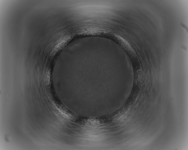 X0000096660640200802191307