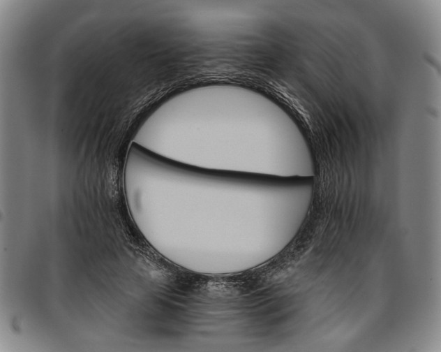 X0000096660641200802191307