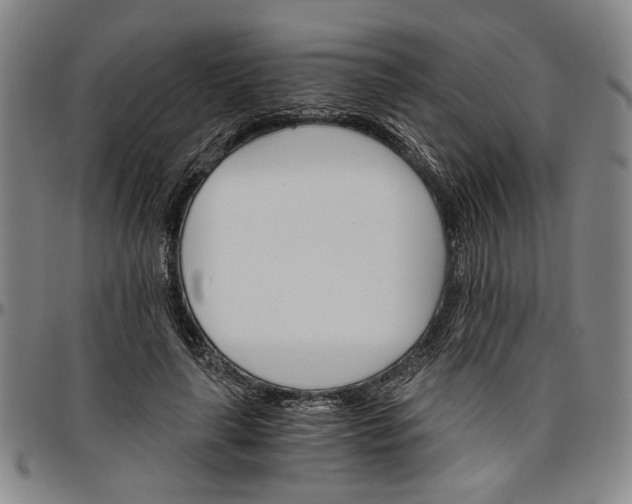 X0000096660643200802191307