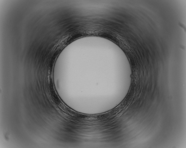 X0000096660644200802191307