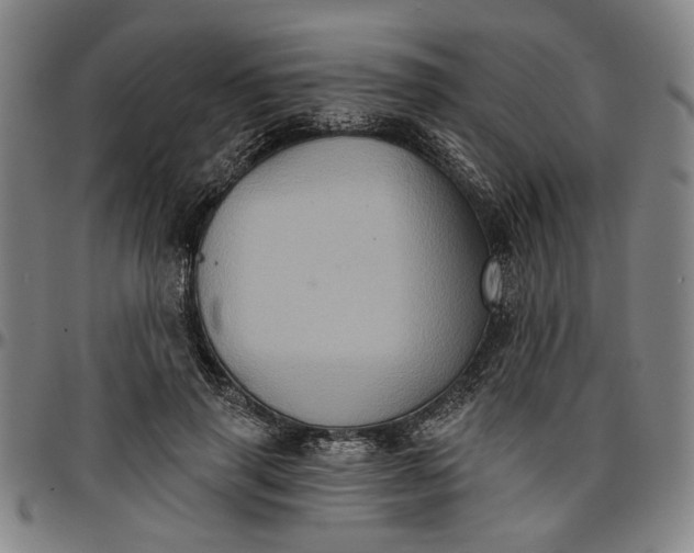 X0000096660645200802191307