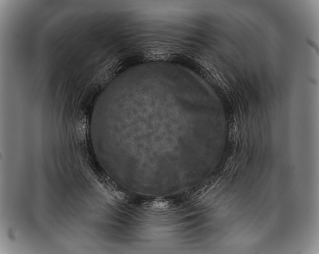 X0000096660647200802191308