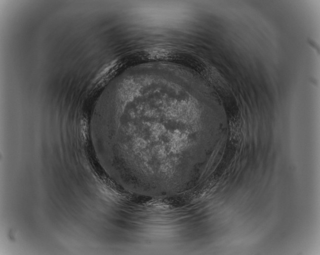 X0000096660648200802191308