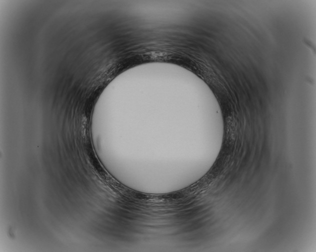 X0000096660650200802191308