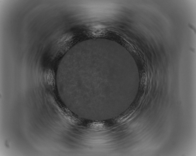 X0000096660651200802191308