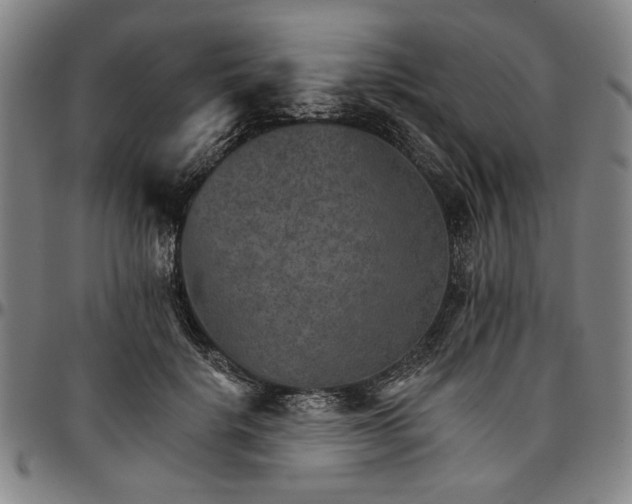 X0000096660652200802191308