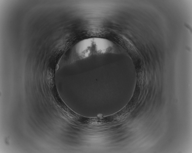 X0000096660653200802191308