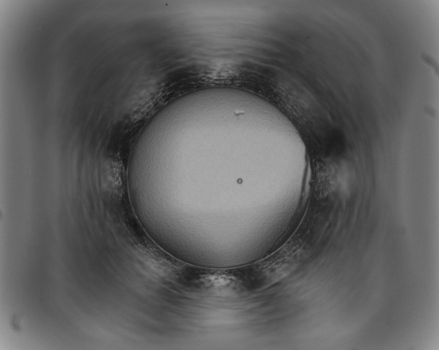 X0000096660654200802191308