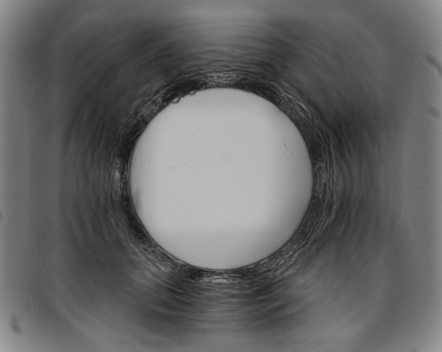 X0000096660655200802191308