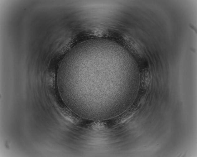 X0000096660656200802191308