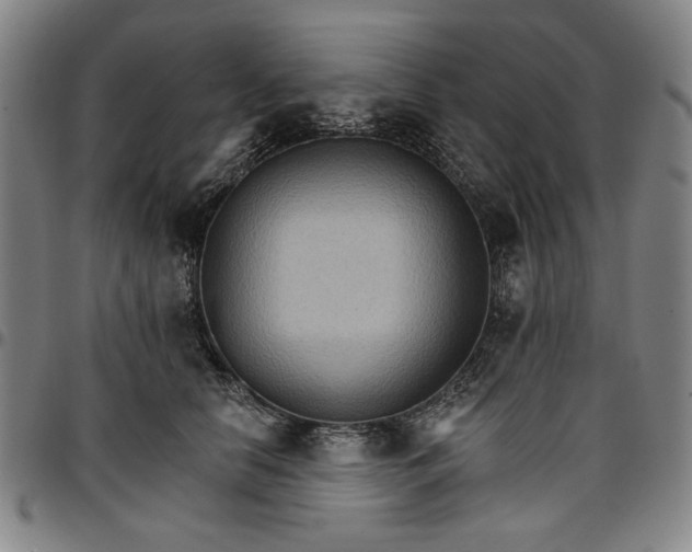 X0000096660658200802191308