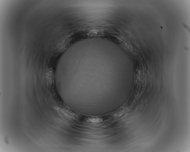 X0000096660659200802191308