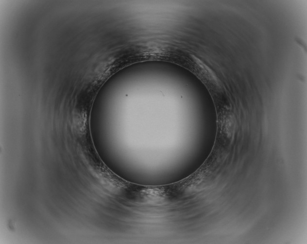 X0000096660660200802191308