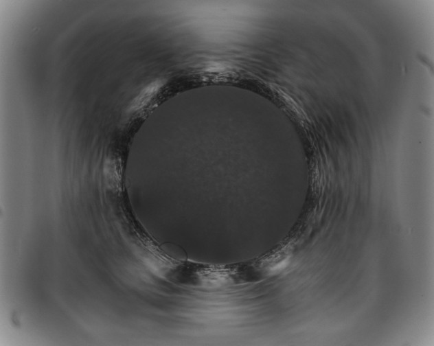 X0000096660661200802191308