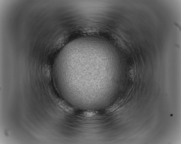 X0000096660662200802191308