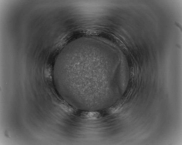 X0000096660663200802191308