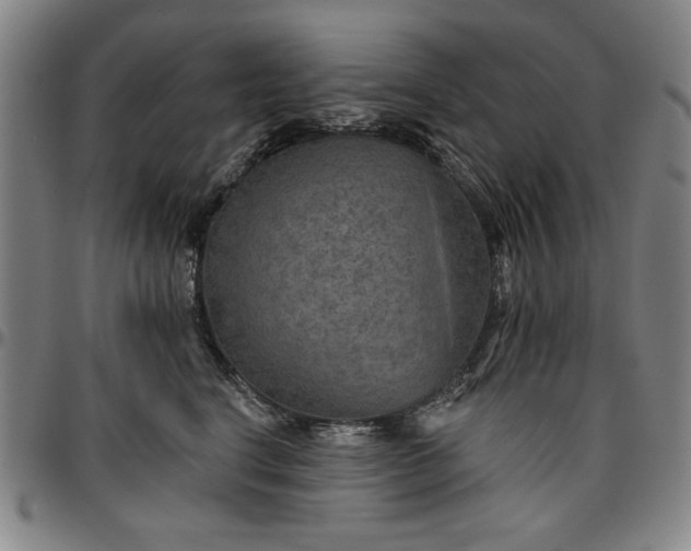 X0000096660664200802191308