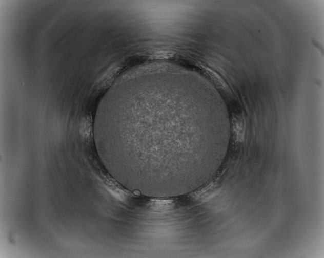 X0000096660665200802191308