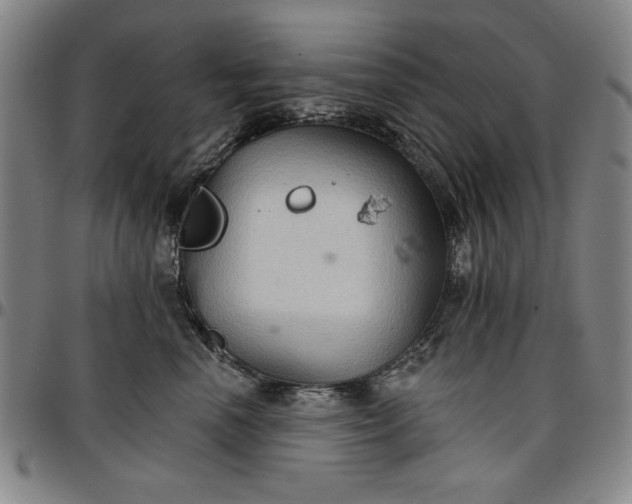 X0000096660666200802191308