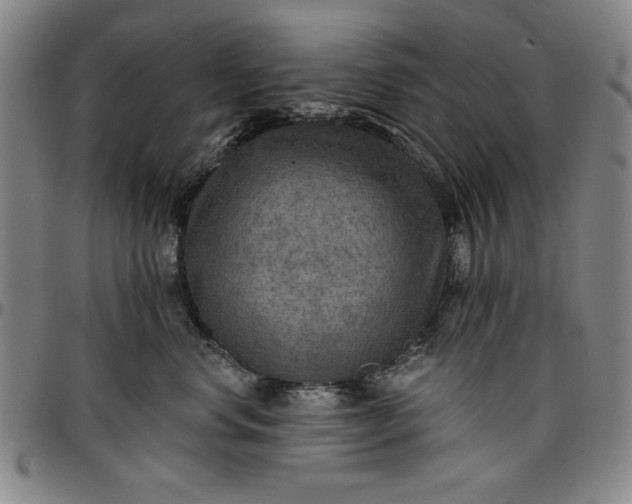 X0000096660668200802191308