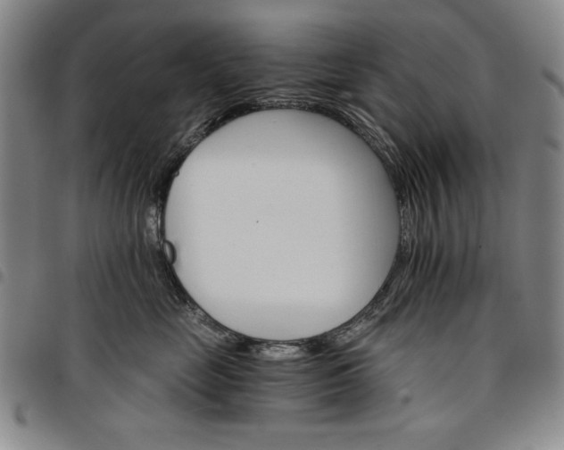 X0000096660669200802191308