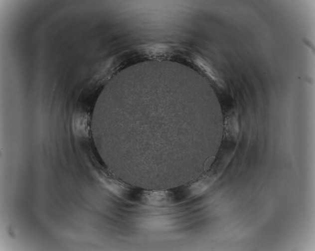 X0000096660671200802191308