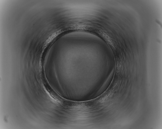 X0000096660674200802191307