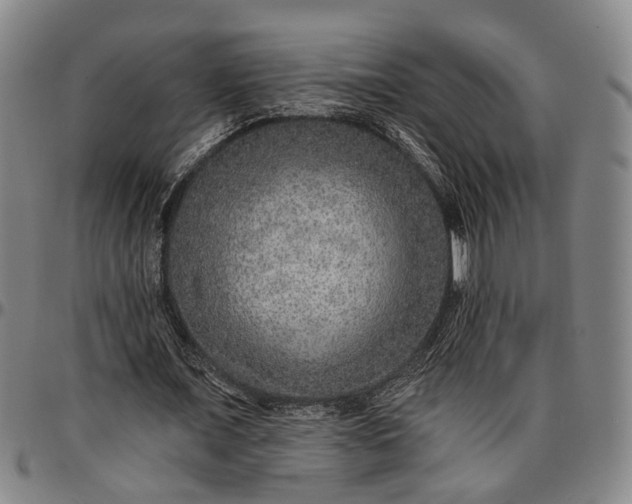 X0000096660675200802191307