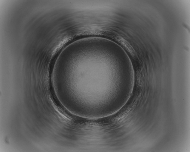 X0000096660677200802191307