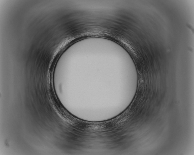 X0000096660678200802191307