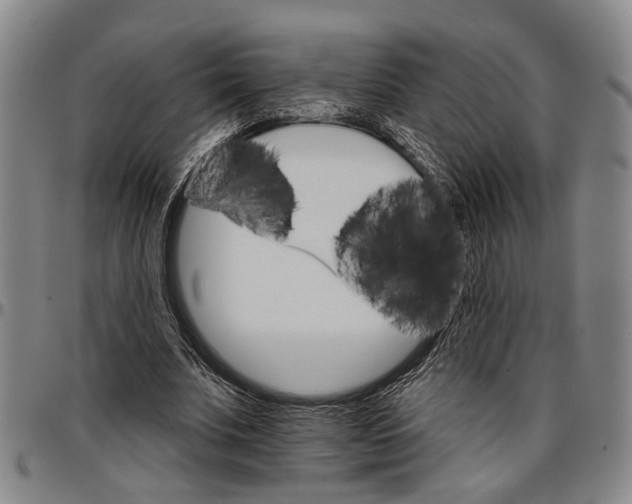 X0000096660679200802191307