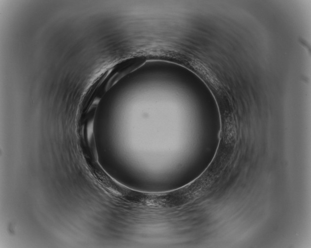 X0000096660680200802191307