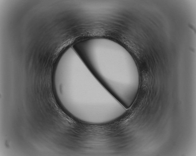 X0000096660681200802191307