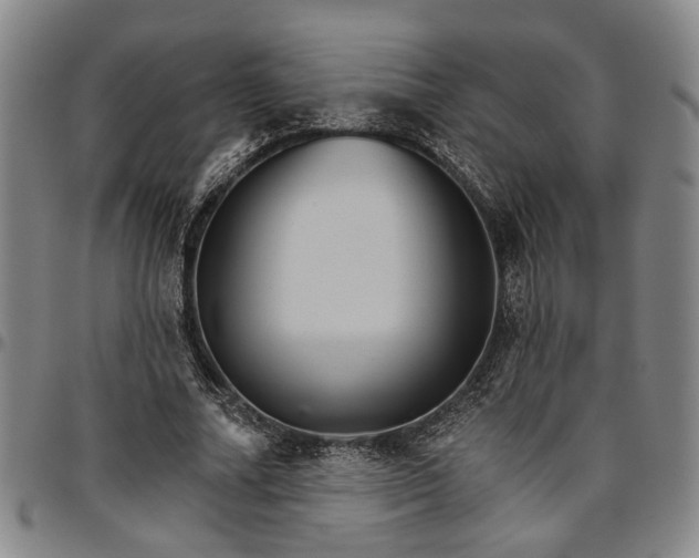 X0000096660682200802191307