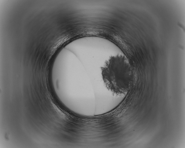 X0000096660683200802191307