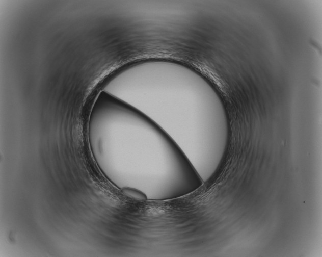 X0000096660684200802191307