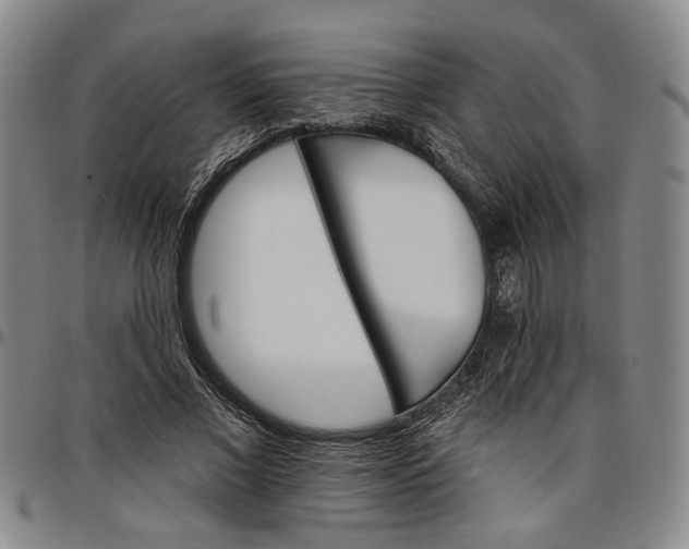 X0000096660685200802191307