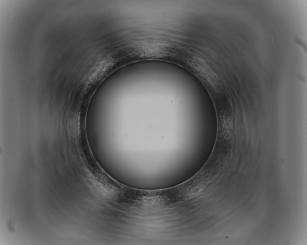 X0000096660686200802191307