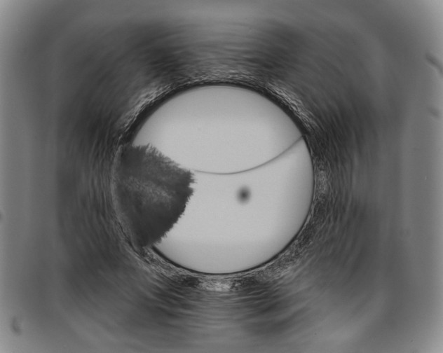 X0000096660687200802191307