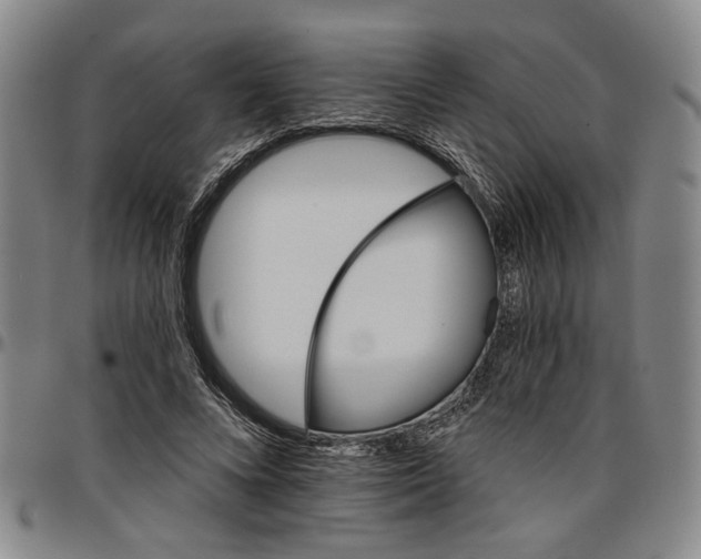 X0000096660688200802191307