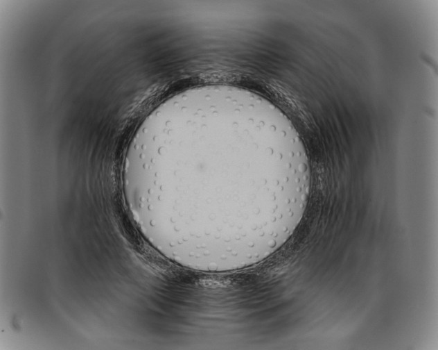 X0000096660690200802191307