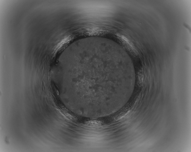 X0000096660691200802191307