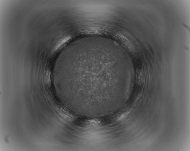 X0000096660692200802191307