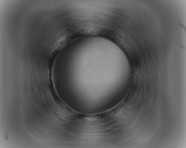 X0000096660693200802191307